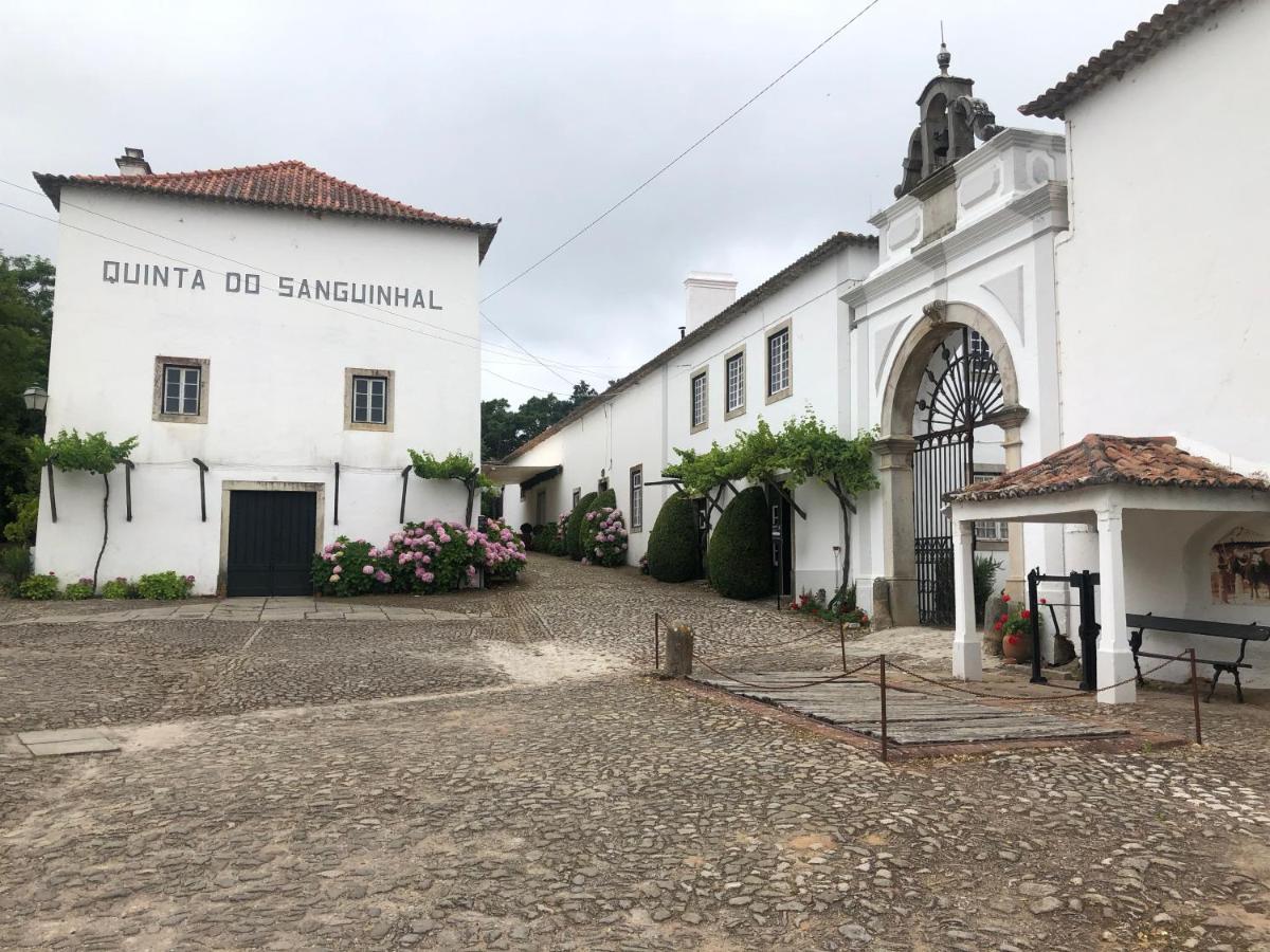 Terra Luso Proche De Montejunto Acomodação com café da manhã Cadaval Exterior foto